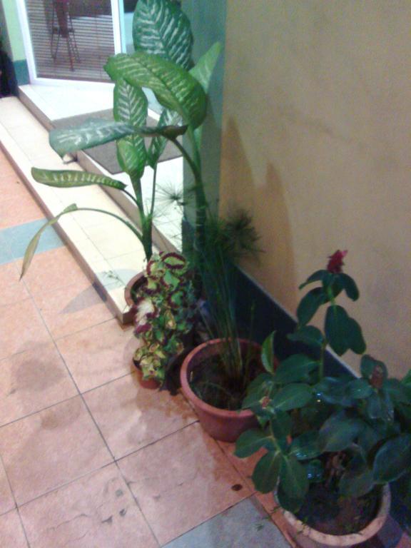 Hotel Garden Кота-Кинабалу Экстерьер фото